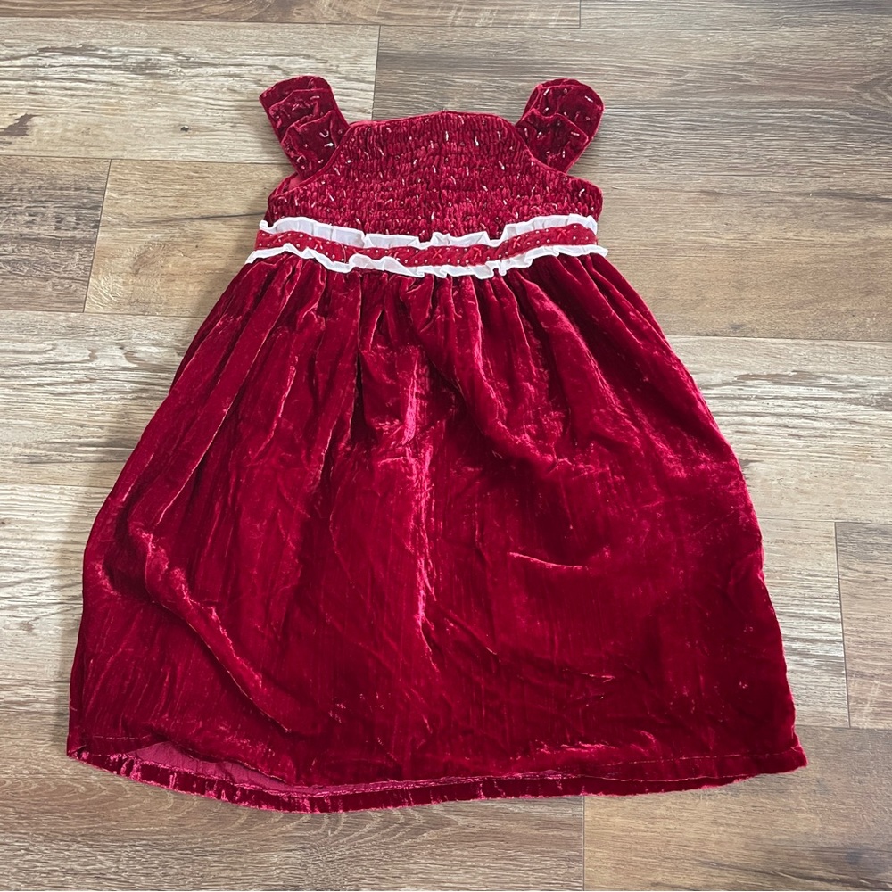 Trish Scully velvet bead dress 4